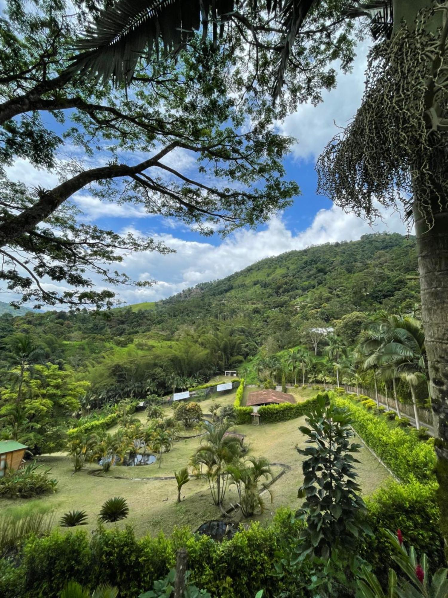 Home Boutique Natural Paradise La Vega  Luaran gambar