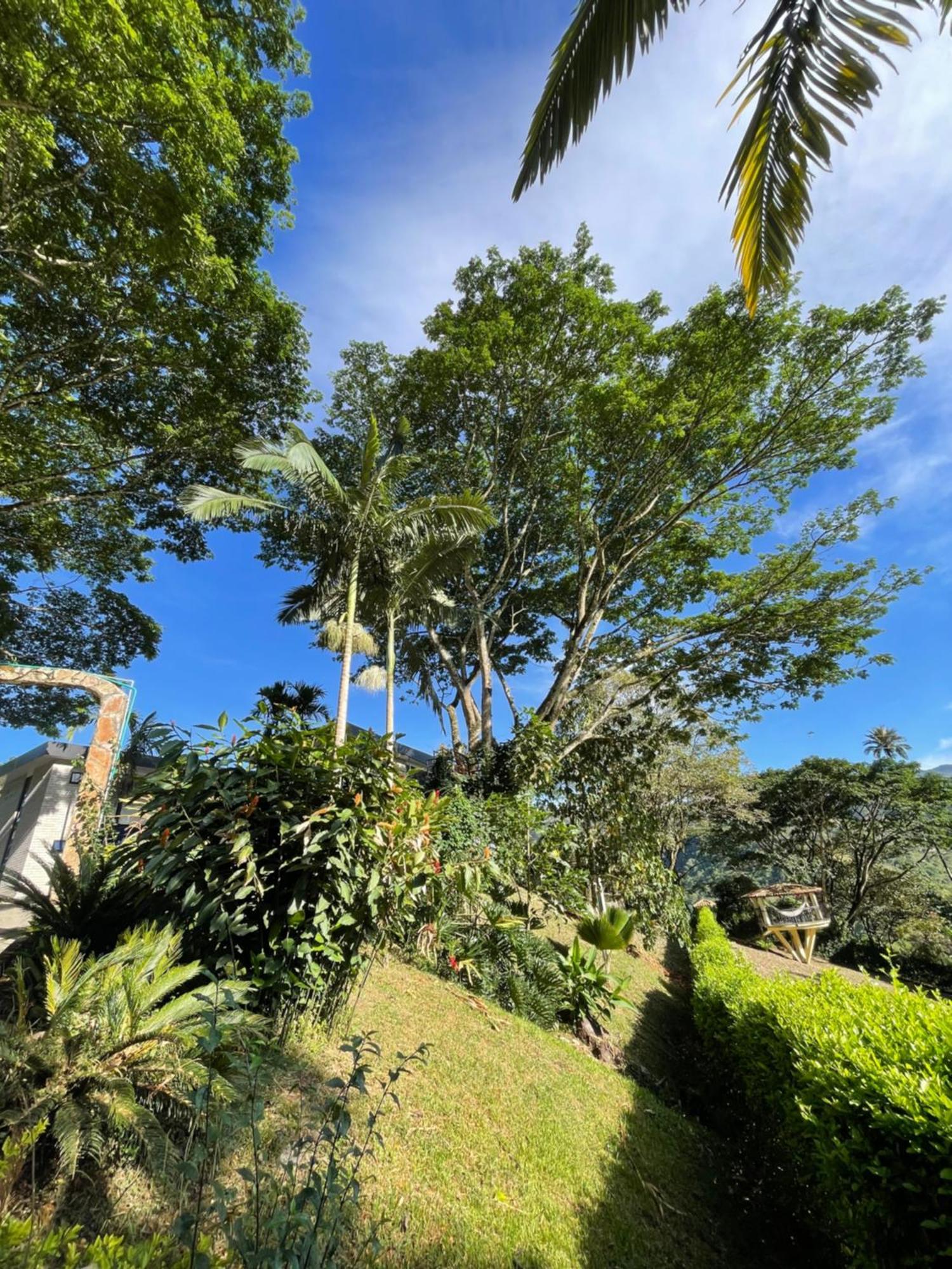 Home Boutique Natural Paradise La Vega  Luaran gambar